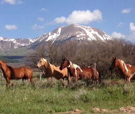 Mount Peale Country Inn La Sal Exterior foto